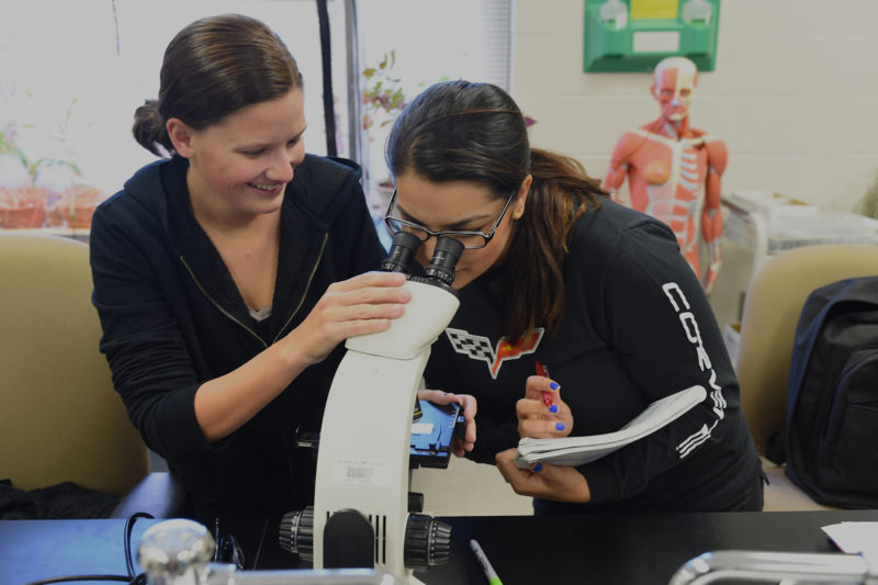 Students viewing through microscope