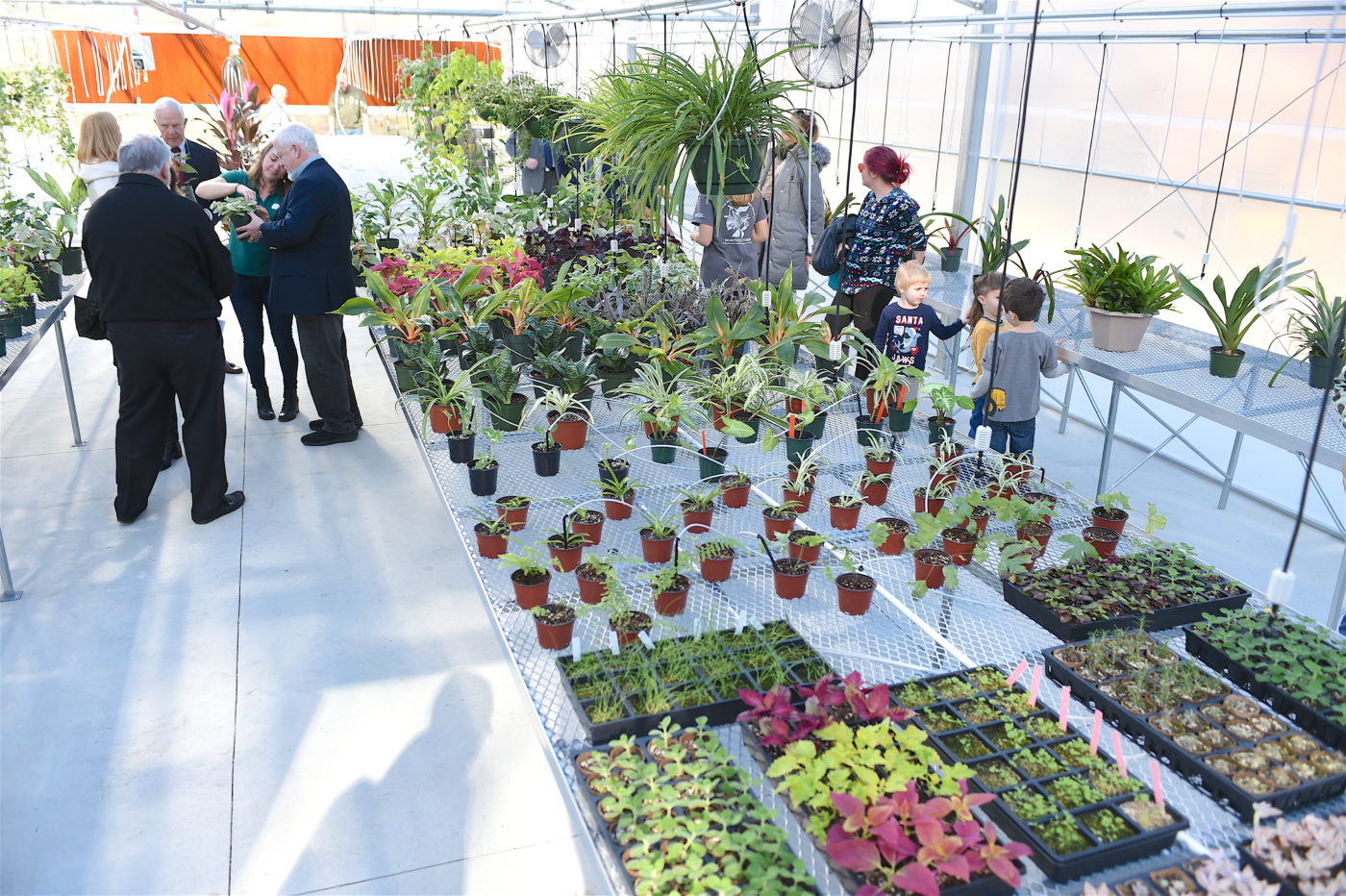 Insidegreenhousechat2019