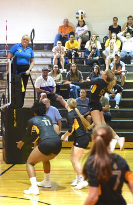 Volleyball fans in stands