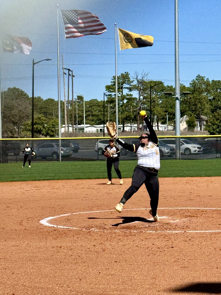 softball v pitt