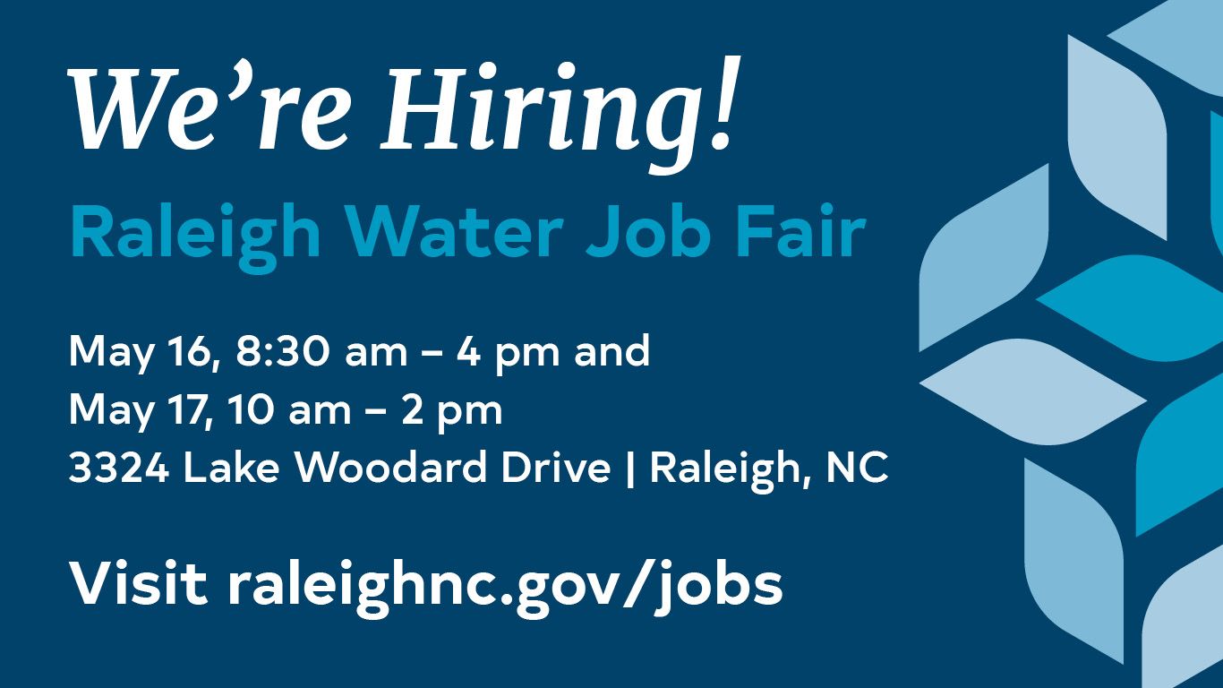 Raleigh Water Flyer
