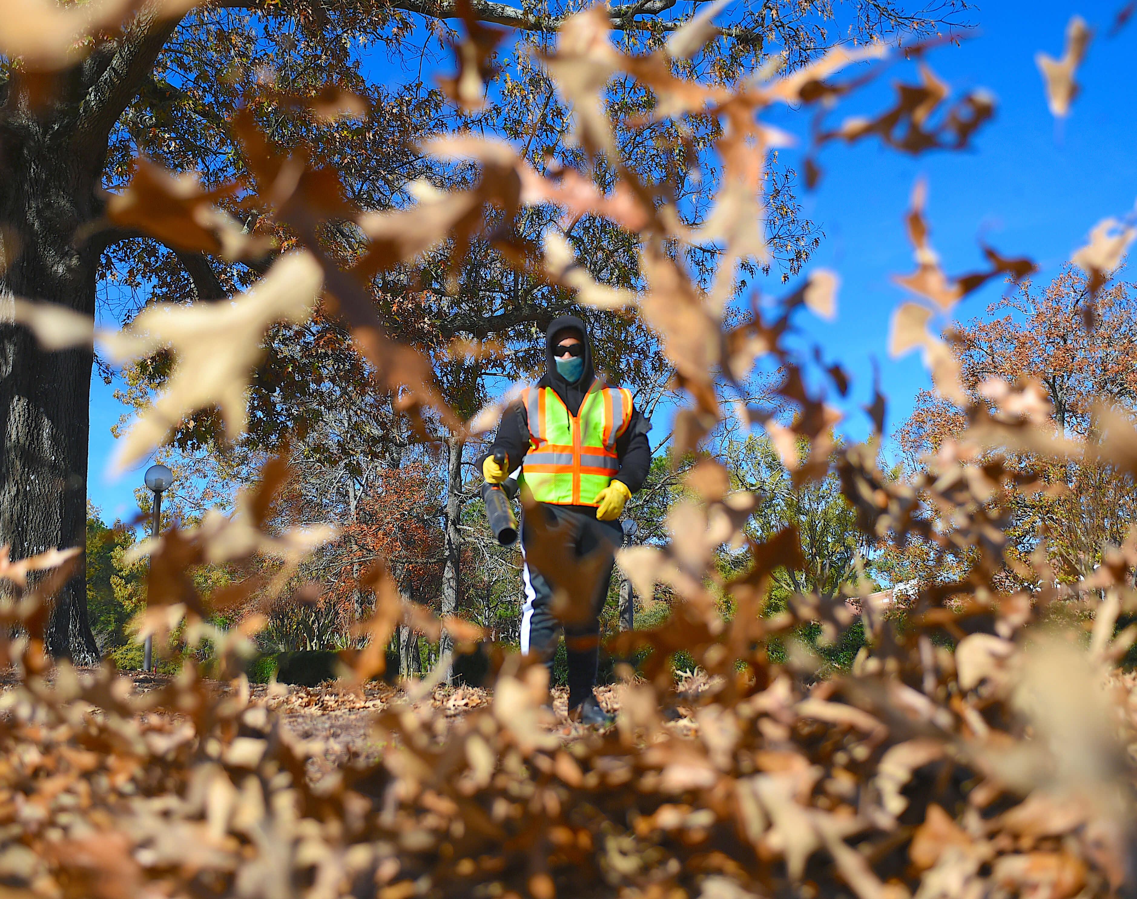 leaf blow 2