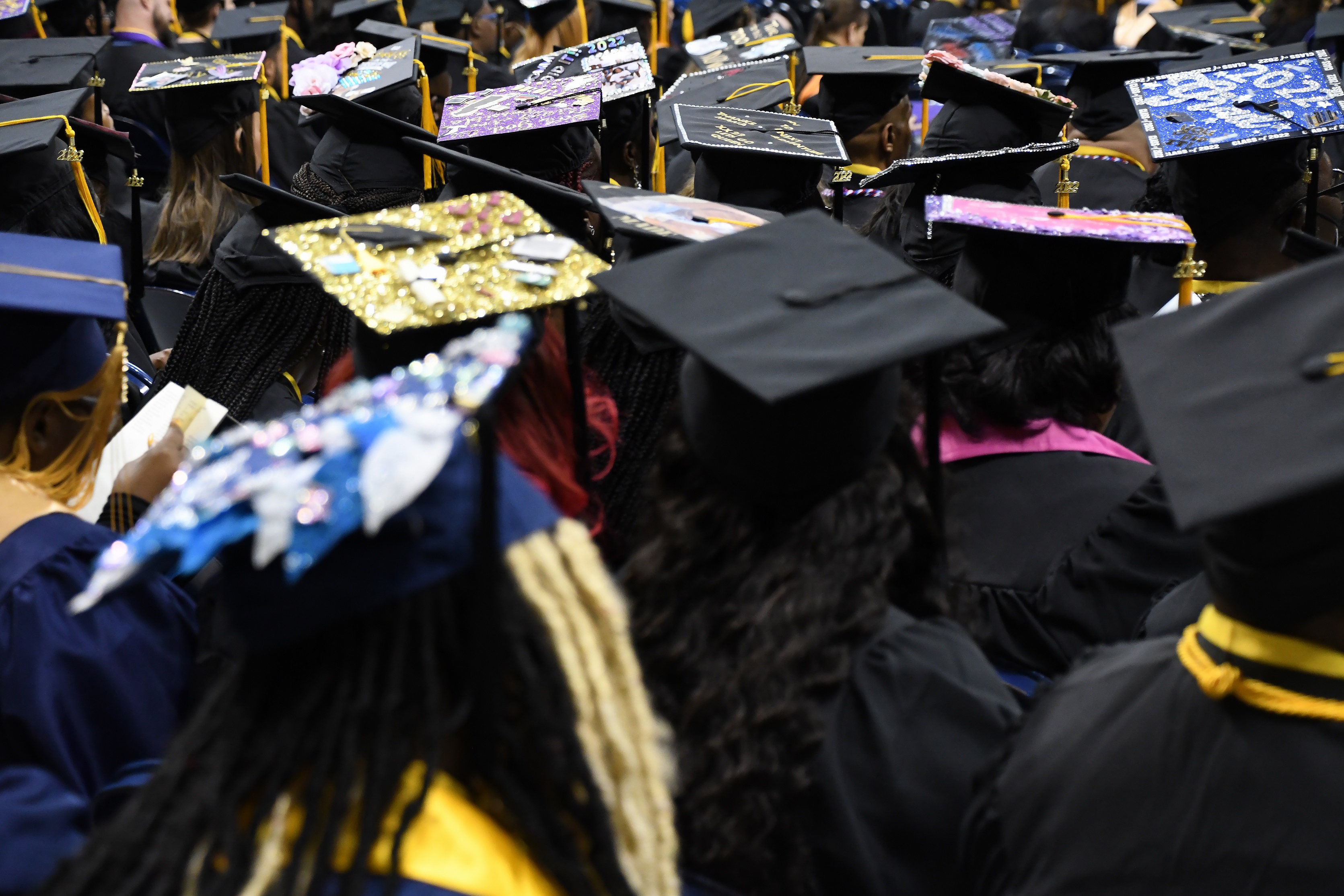 A group of graduates photographed from behind to show their caps, many of which are decorated.